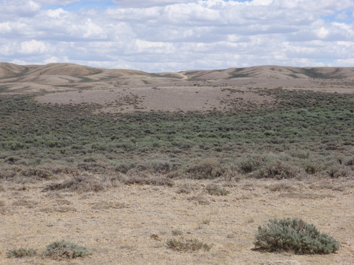 Wyoming GDMBR.